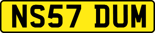 NS57DUM