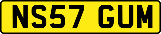 NS57GUM