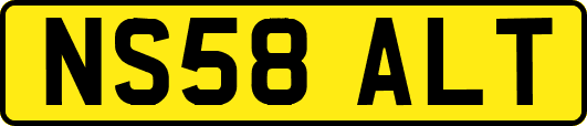 NS58ALT