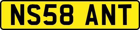 NS58ANT