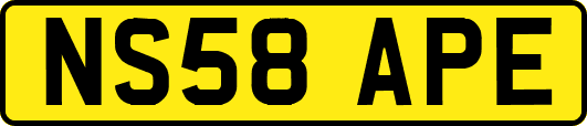 NS58APE