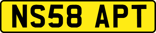 NS58APT