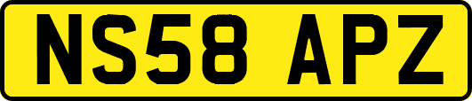 NS58APZ