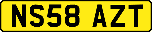 NS58AZT