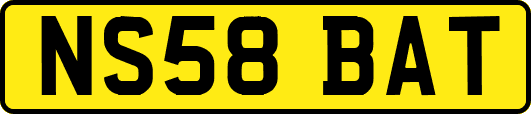 NS58BAT