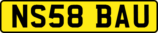 NS58BAU