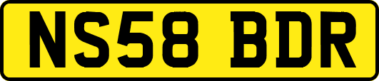 NS58BDR