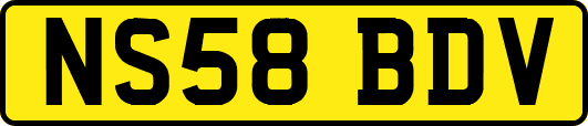 NS58BDV