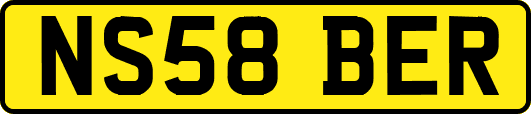 NS58BER
