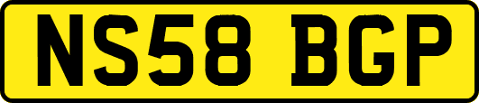 NS58BGP