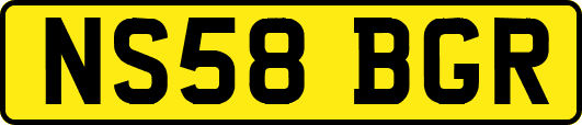 NS58BGR