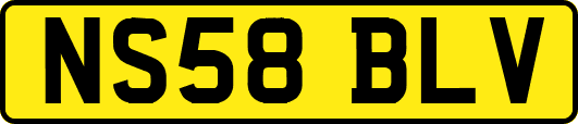 NS58BLV