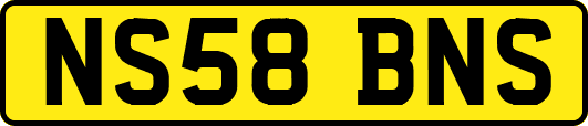 NS58BNS
