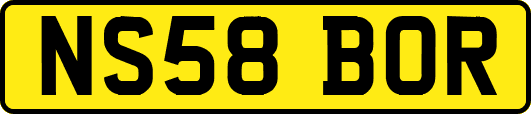 NS58BOR