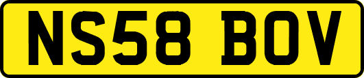 NS58BOV