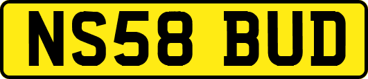 NS58BUD