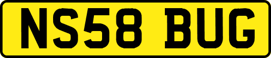 NS58BUG