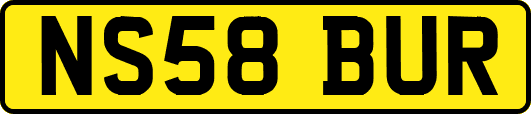 NS58BUR