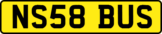 NS58BUS