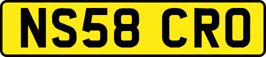 NS58CRO