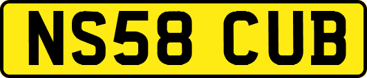 NS58CUB