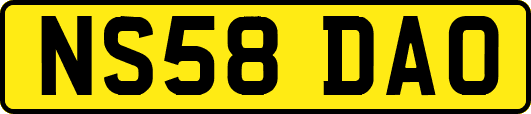 NS58DAO