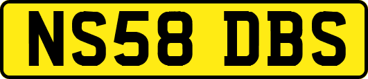 NS58DBS