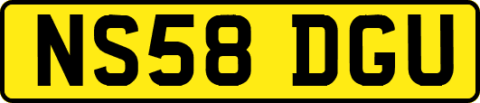 NS58DGU