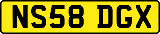 NS58DGX