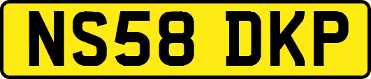 NS58DKP