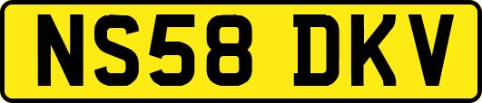 NS58DKV