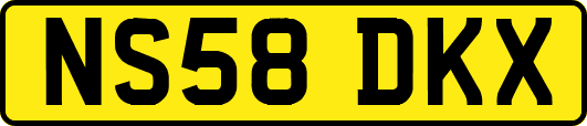 NS58DKX