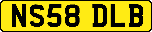 NS58DLB