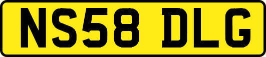 NS58DLG