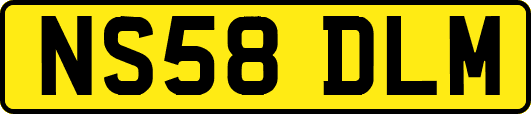 NS58DLM