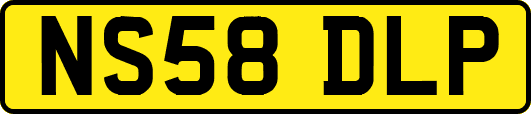 NS58DLP