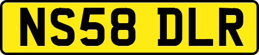 NS58DLR