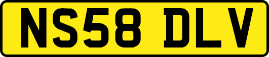 NS58DLV