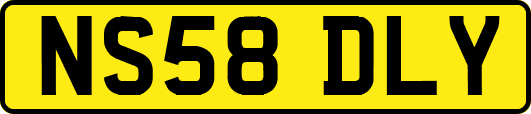 NS58DLY