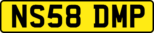 NS58DMP