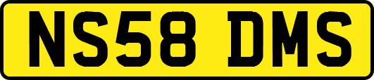 NS58DMS