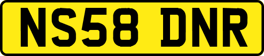 NS58DNR