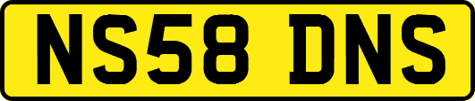 NS58DNS