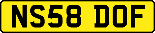 NS58DOF