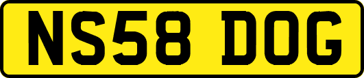 NS58DOG