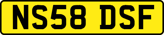 NS58DSF