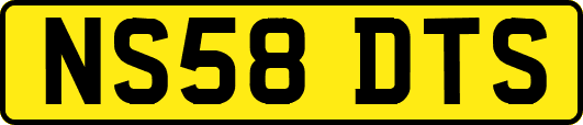 NS58DTS