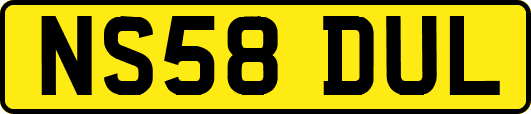 NS58DUL