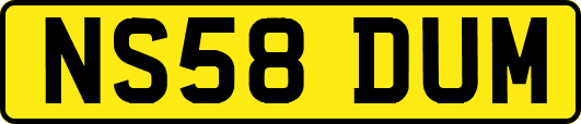 NS58DUM