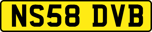NS58DVB